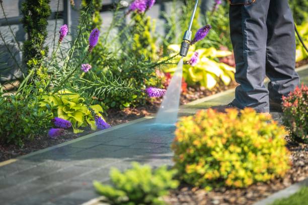 Best Dumpster Area Cleaning  in East Atlantic Beach, NY